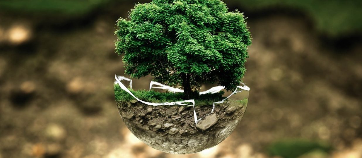 Environmental Impact on Recycling Cardboard Boxes