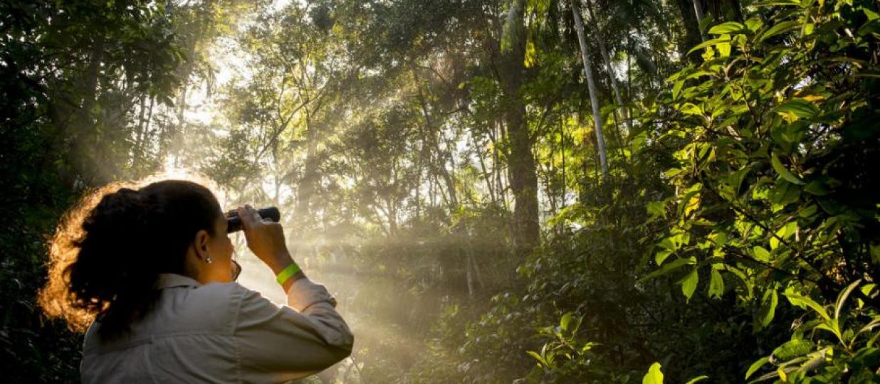 World Wildlife Fund organizes around reuse of materials