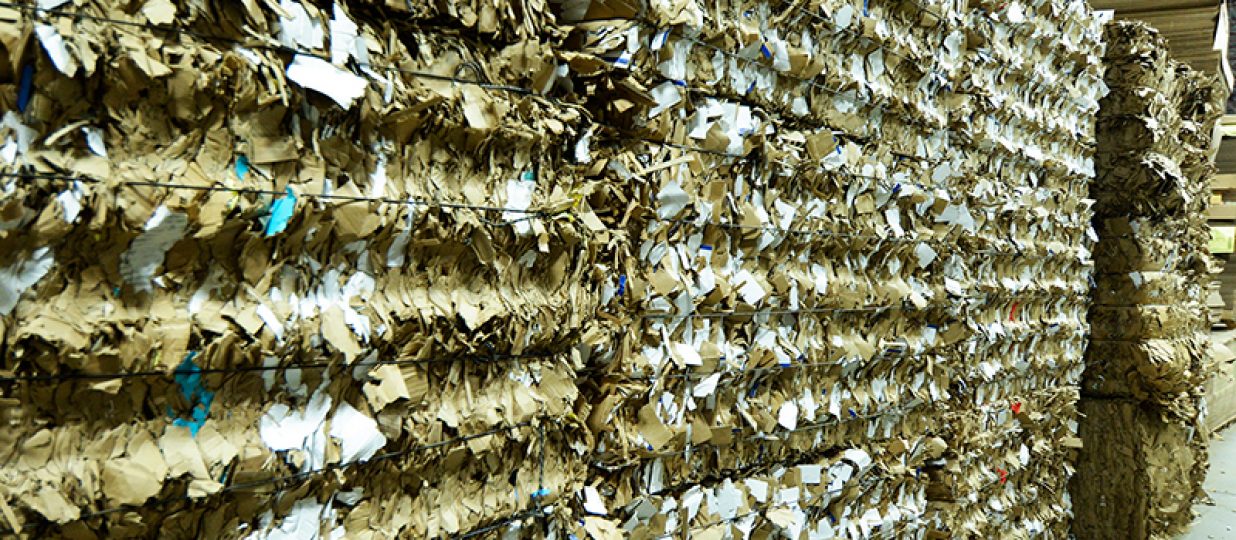 3 takeaways on recycled versus virgin paper packaging
