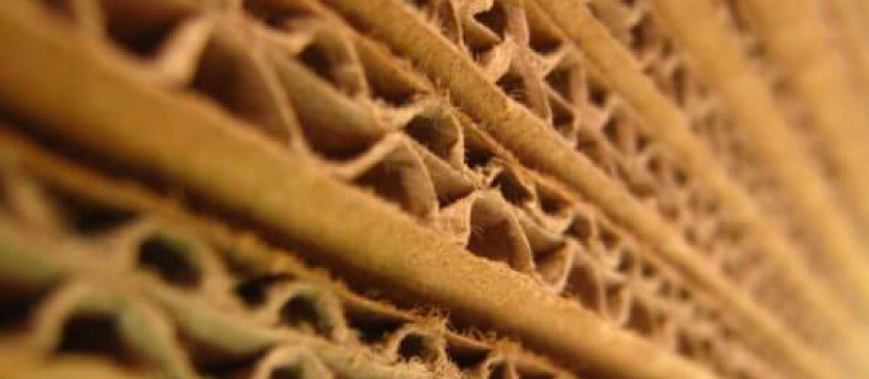 2023 US Corrugated box and container board market trends to watch